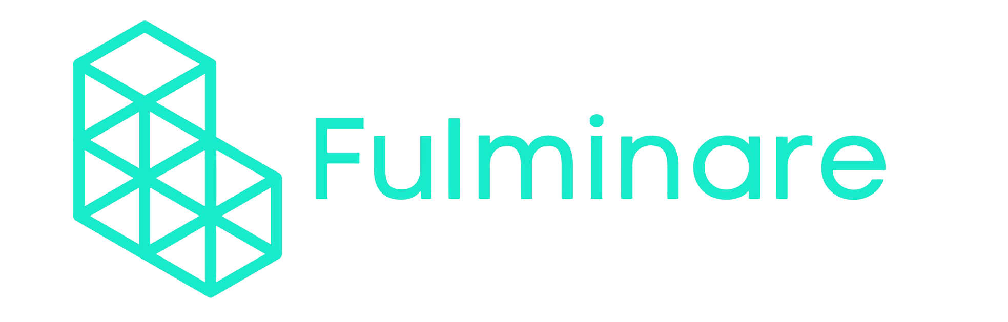 Fulminare Holdings